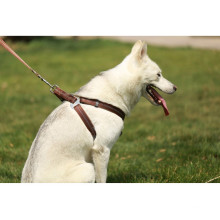 Wholesale pet dog leash and dog harness vest